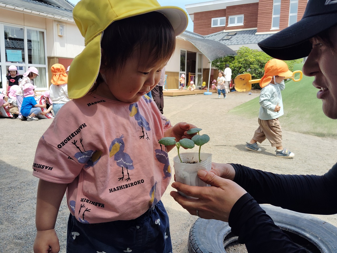 行事画像